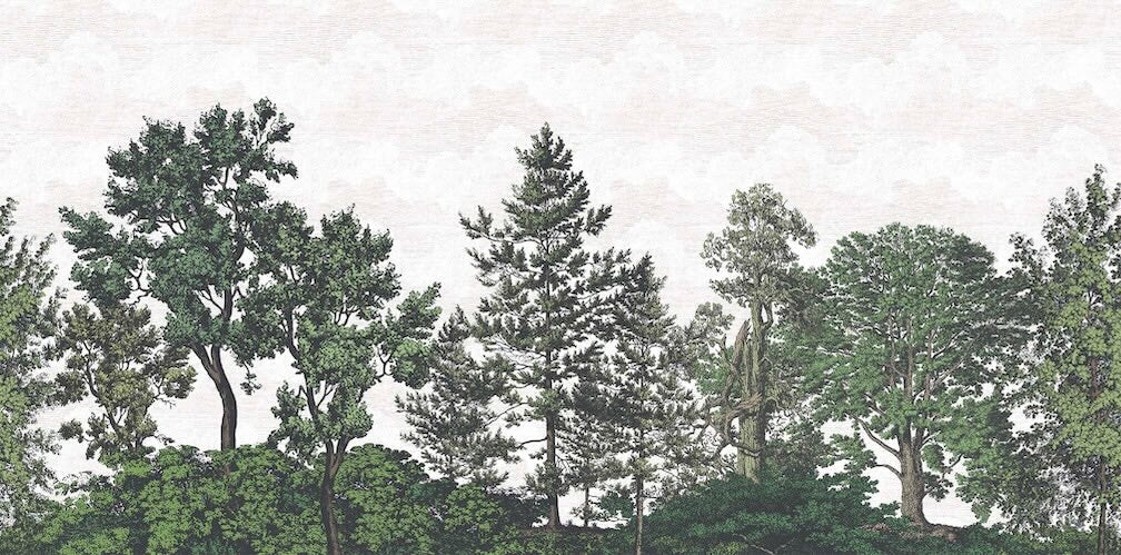 Woodchip & Magnolia Heaton Border - Green - WM - 391 - 05