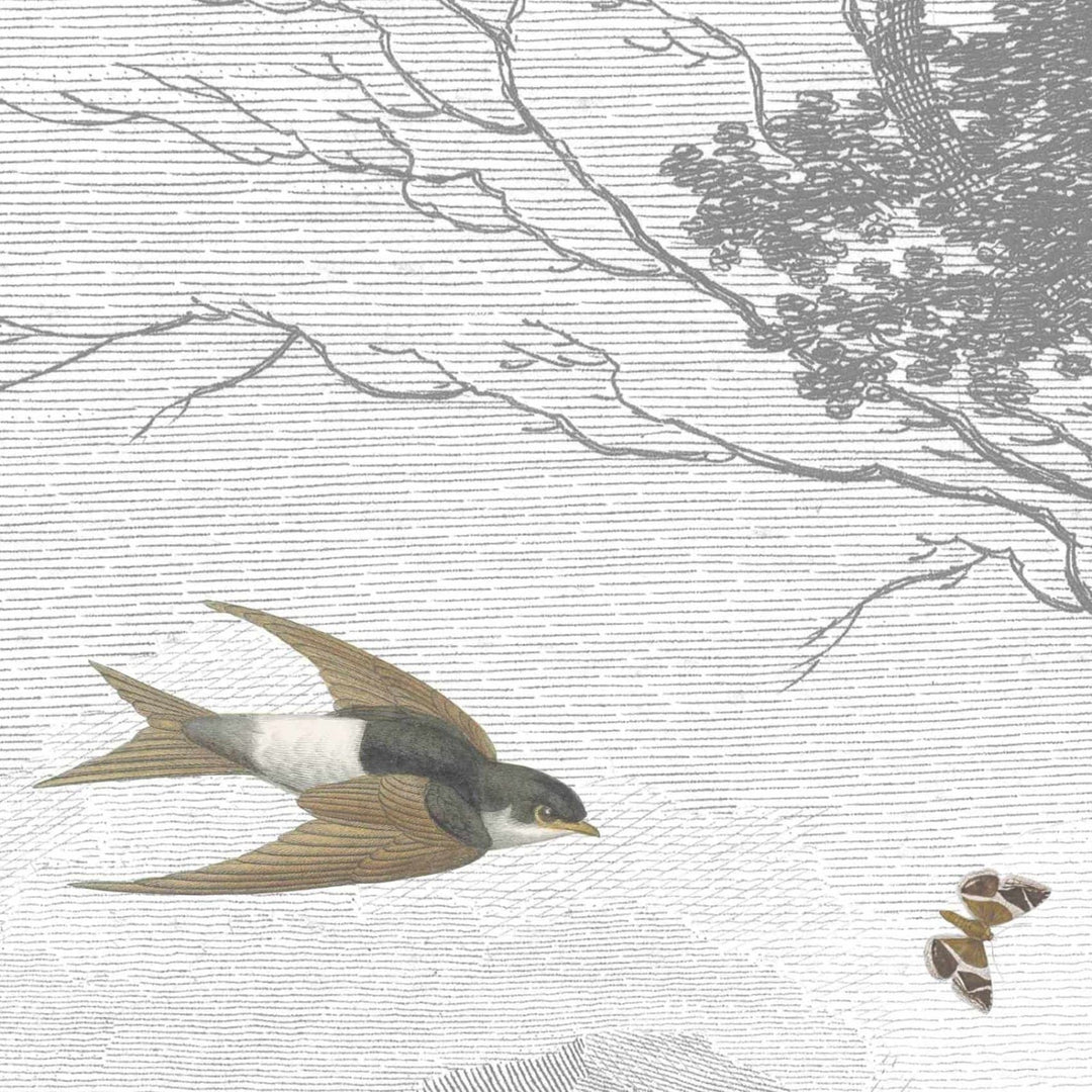 - Zephyr Wall Mural by Woodchip & Magnolia - M - 021 - 01RM - Decor Warehouse
