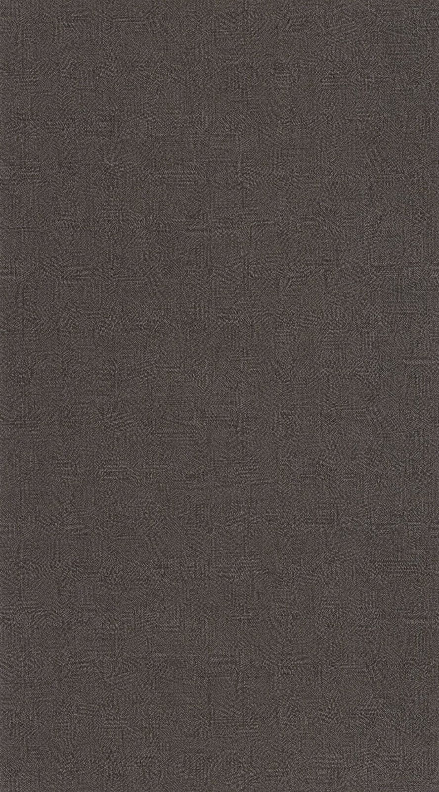 - Casadeco Riverside 4 Empreinte - Noir fusain Wallpaper - RIVI88709877 - Decor Warehouse