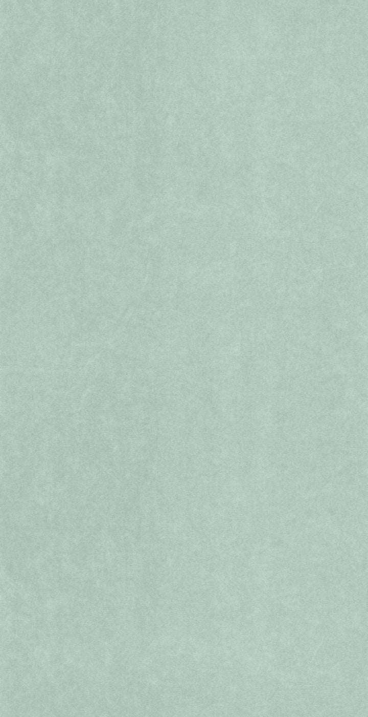 - Casadeco SO Color 5 Cotton Touch - Aloe Green Wallpaper - COLR82387254 - Decor Warehouse
