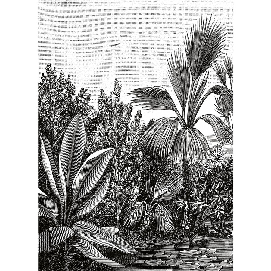 - Caselio - The Place To Be - Escape Black & White Wall Mural - 102059018 - Decor Warehouse