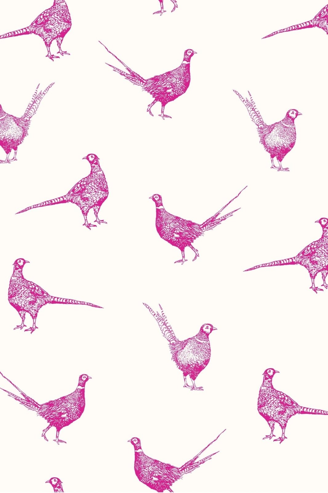 - Joules Flirty Pheasants Truly Pink Wallpaper - 118551 - Decor Warehouse