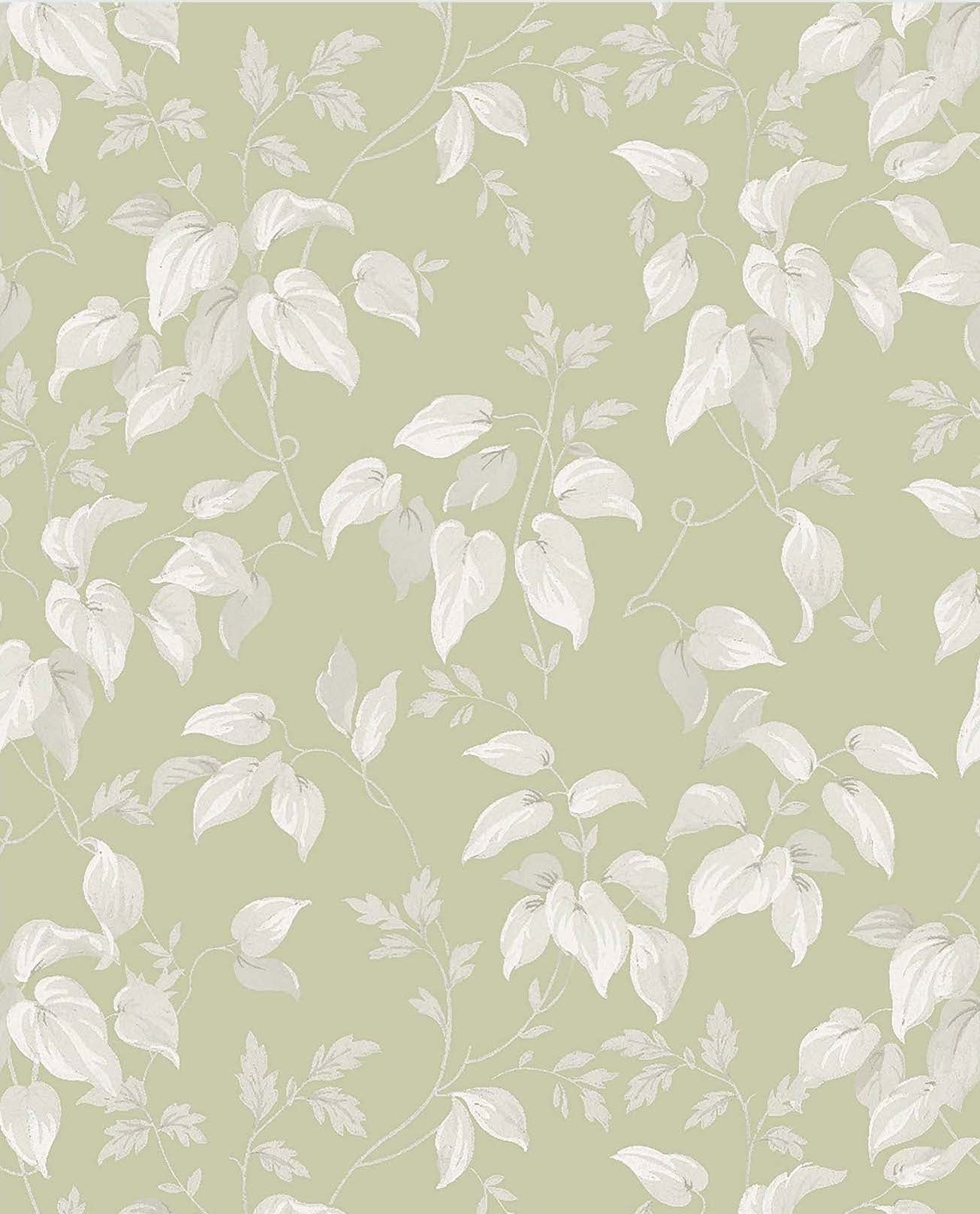 118259-Graham & Brown-Next - Trail Flower Green Wallpaper-Decor Warehouse