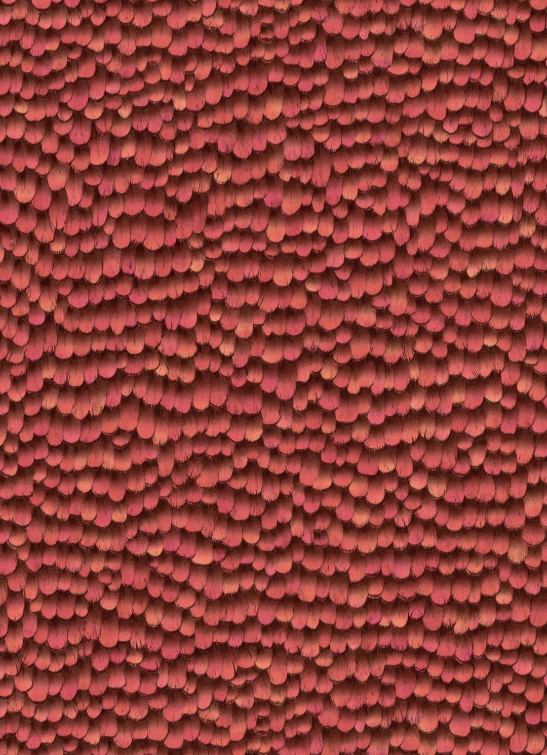 10129-06-Erismann-Select - Paradisio 2 Non-Woven 3D Feathers Red Wallpaper-Decor Warehouse